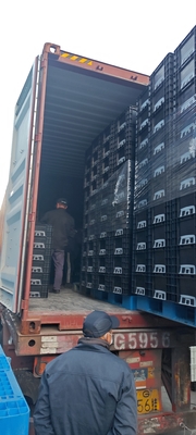 Caja de plástico de 600*400 mm ESD Contenedores de almacenamiento ESD Caja conductora para piezas electrónicas